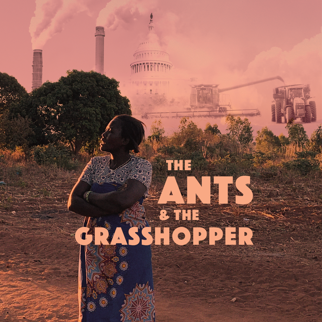 film poster The Ants and the Grasshopper, featuring a woman in African dress with her arms crossed